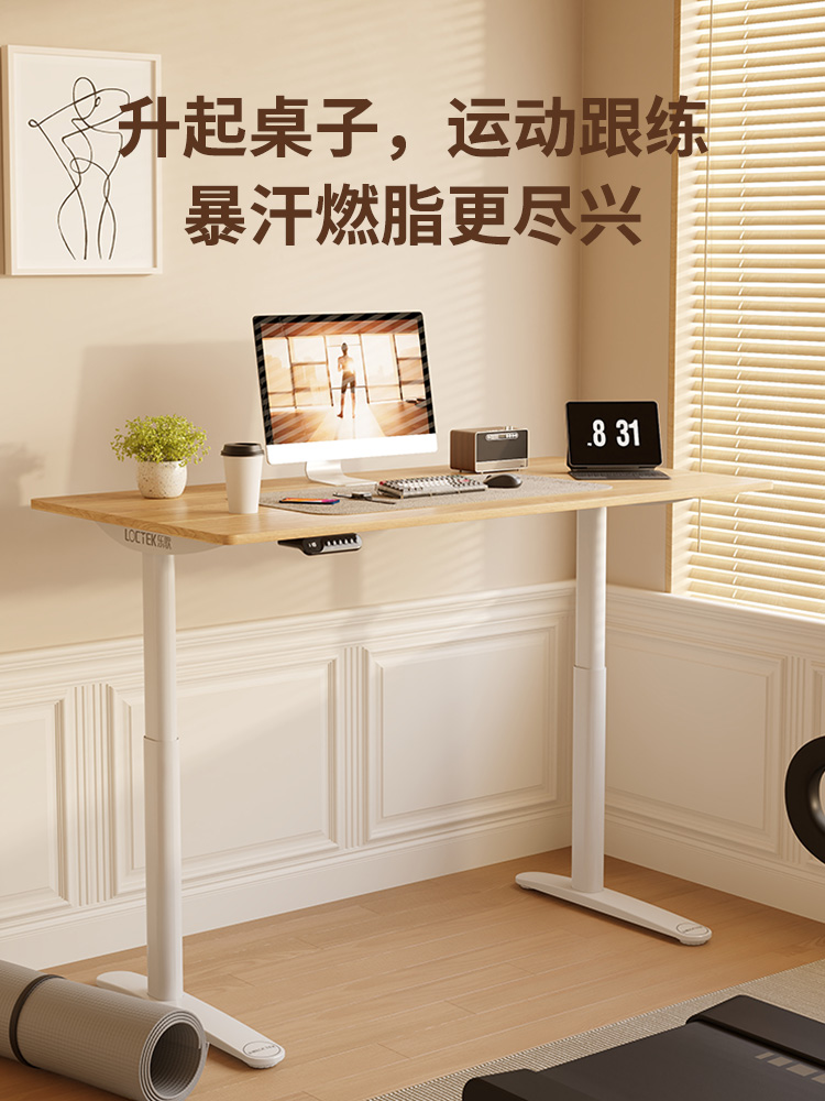 乐歌智能升降桌E3T-HD居家办公书房书桌